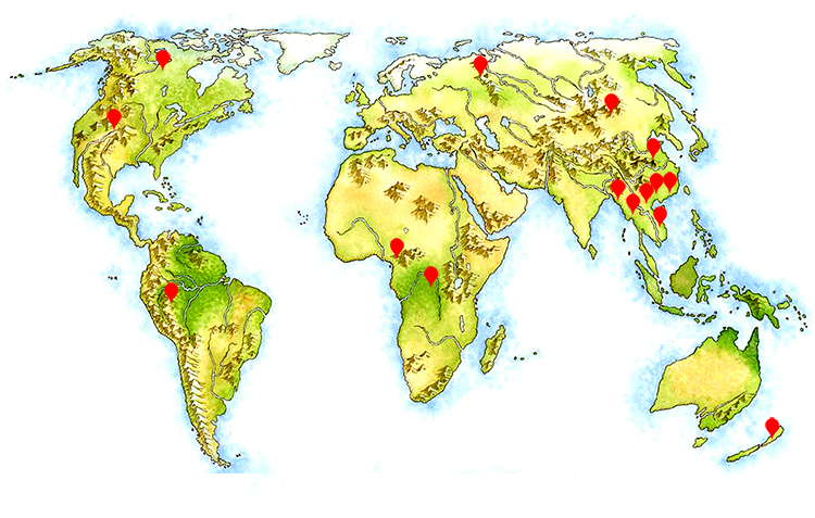 ȫ���֘I(y��)�YԴ�ֲ��D