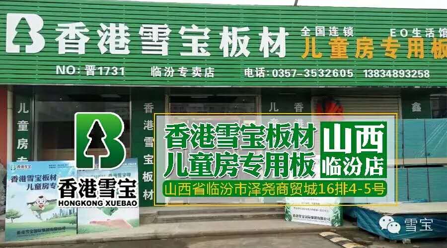 板材十大品牌-雪寶臨汾專賣店