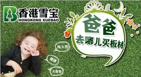 中國十大板材名牌