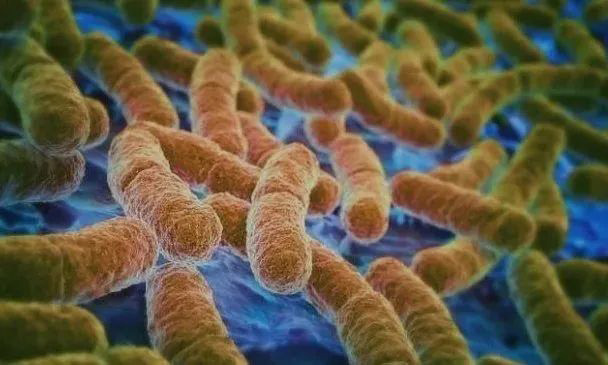 ѩ��������ù����ʲô����ʲôҪʹ�ÿ�����ù�壿