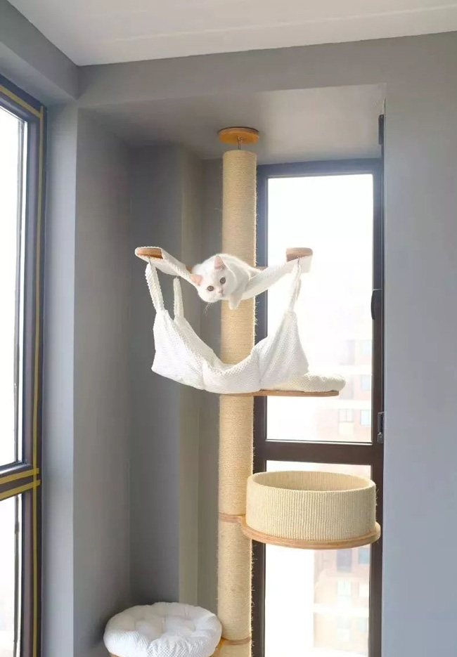 ���Ќ�������b���Լ��ļ������@Щ�����܎��톢�l(f��)��