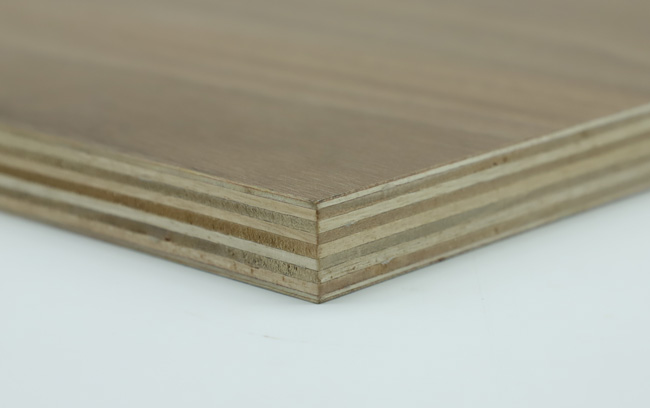 ���Ӱ�����c(di��n)��ʲô��