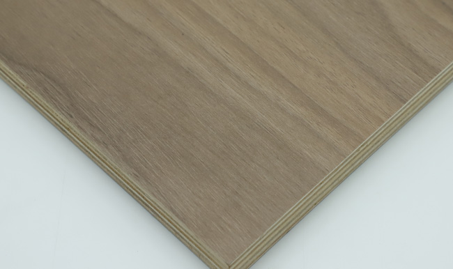 ���B(t��i)����ʲô�����B(t��i)����ʲô��(y��u)��(sh��)��