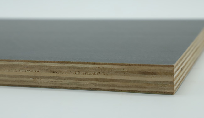 ���B(t��i)��ĺ͌�(sh��)ľ�w�����Ă�(g��)����